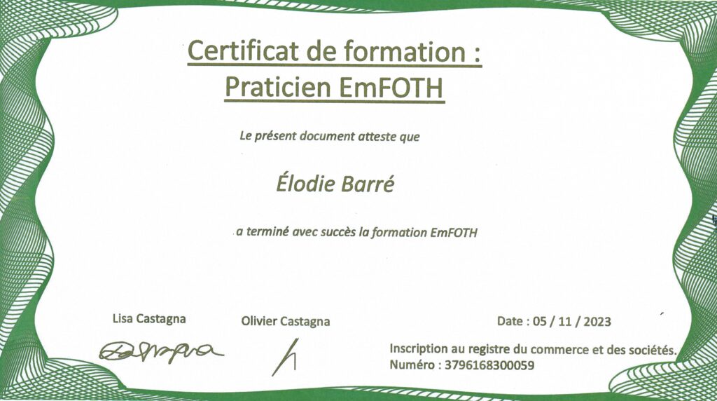 Certification EmFOTH en soins énergétiques à Civray, Élodie Barré
